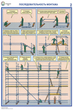 ПС26 Строительные леса (конструкции, монтаж, проверка на безопасность) (ламинированная бумага, А2, 3 листа) - Плакаты - Строительство - Магазин охраны труда Протекторшоп